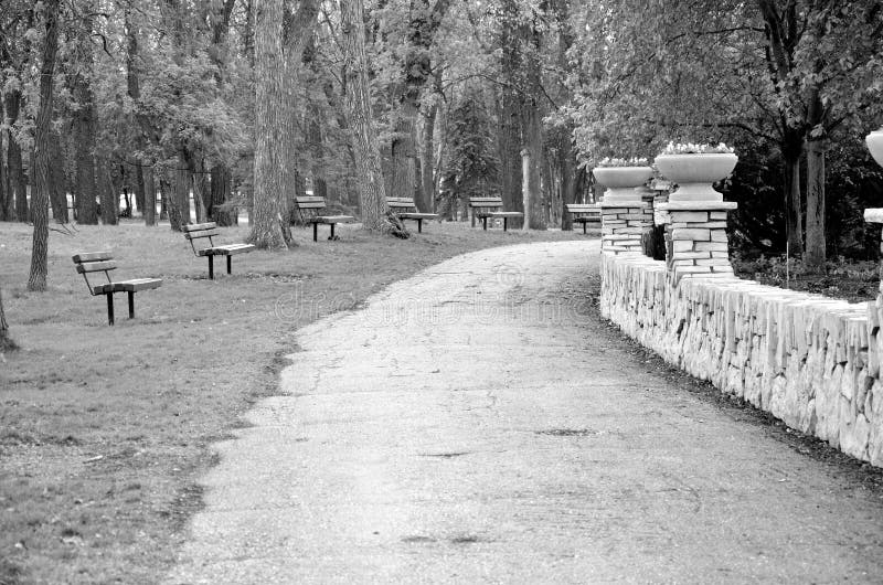 Black and white picture of stone fence along the sidewalk in the park
