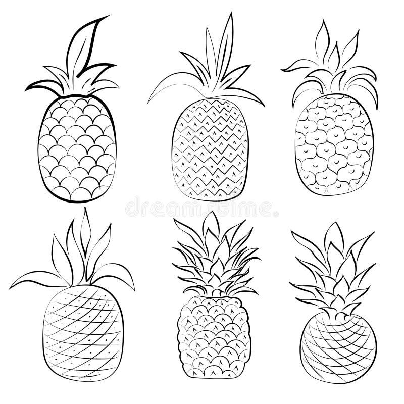 Black and White Pineapple Isolated on White Background. Stock Vector