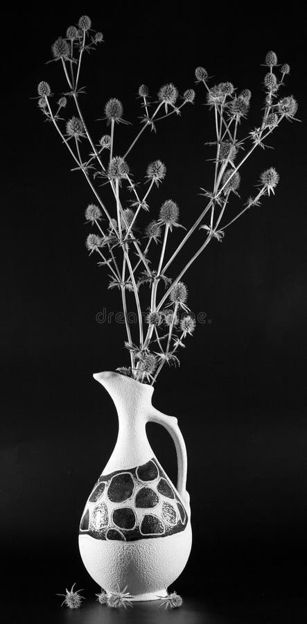 Black-and-white prickly bouquet.