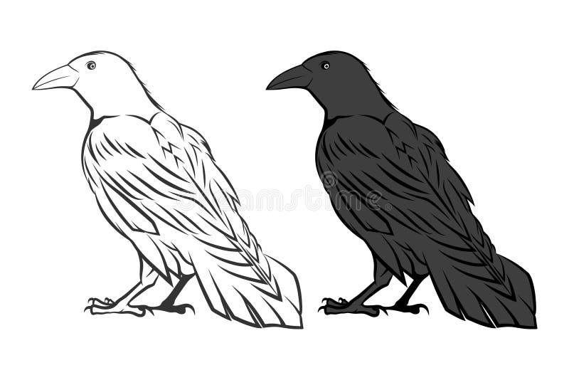 Black and white ravens stock vector. Illustration of flying 170467277