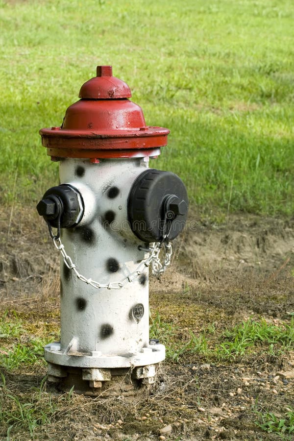 Black, white, and red fire hydrant