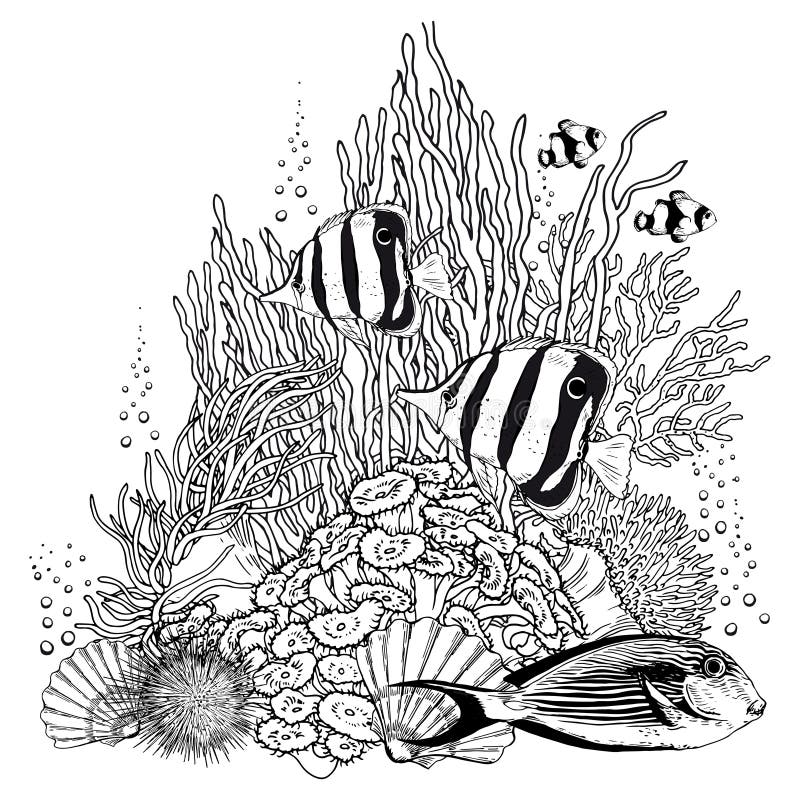 Black and White Reef Scenery with Corals, Shells, Bubbles and Fishes ...