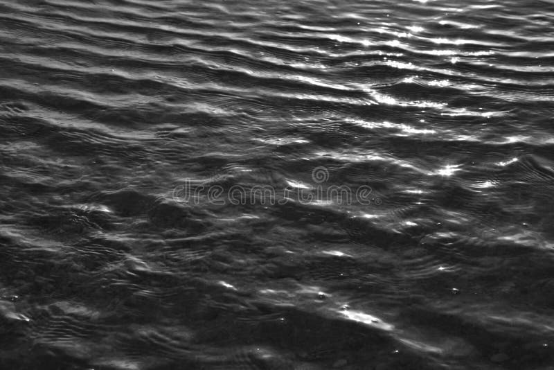 Water Drops in Black and White Stock Photo Image of sparkle, lighting 38386842