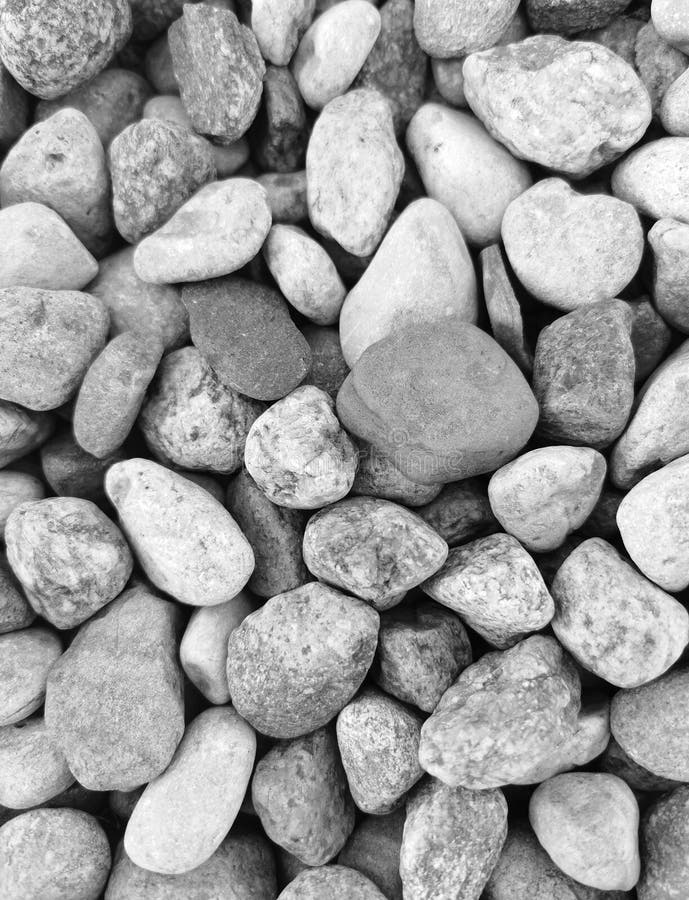 Black and White River Stones. Stock Photo Image of background