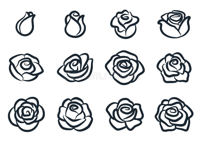 Black and white rose flower vector illustration. Simple rose blossom icon set. Nature, gardening, love, Valentine`s day theme