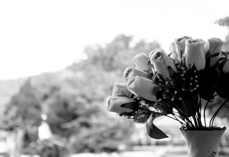 Black and white roses artificial flowers in vases stock images Black and white roses artificial flowers in vases stock images