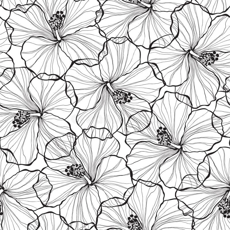 Black and white seamless pattern with hibiscus flowers. royalty free illustration