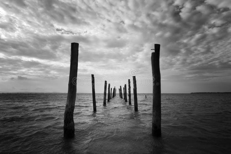 Black and white seascape with wooden pillars