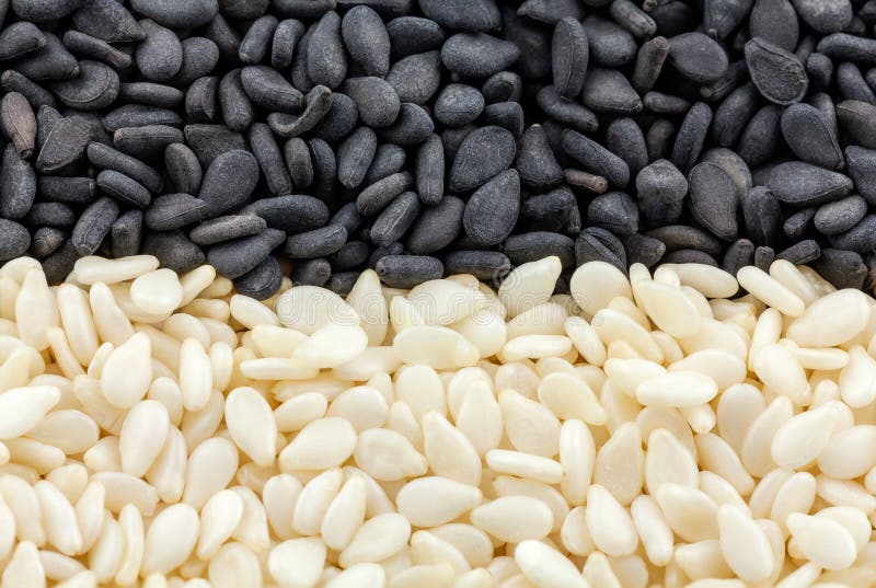 White Sesame and Black Sesame Seed on Wooden Coasters for Background