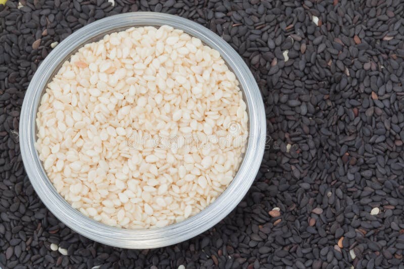Black and White Seed Sesame Stock Photo Image of plant, black 41820974