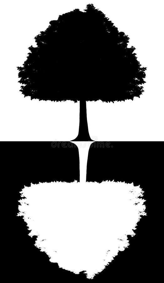 Black And White Silhouette Of A Tree Isolated On Whiteblack Background Stock Illustration