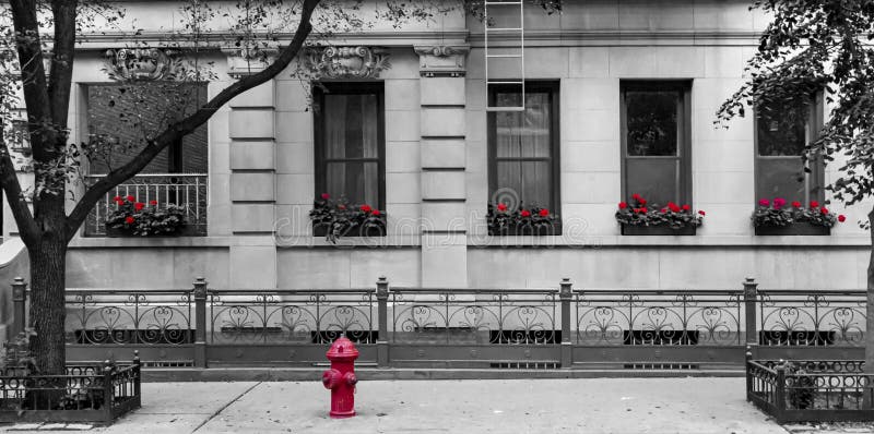 Black and white street scene in New York City with red fire hydrant and flowers in front of an old building