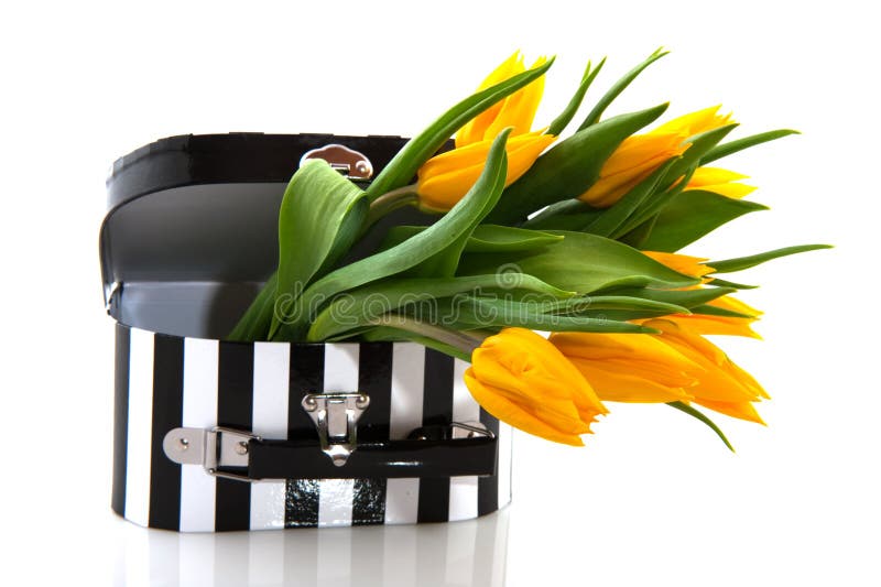 Black and White Suitcase with Flowers Stock Photo Image of isolated