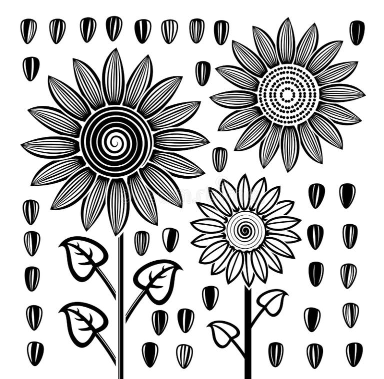 Sunflowers Black White Stock Illustrations 2,179 Sunflowers Black