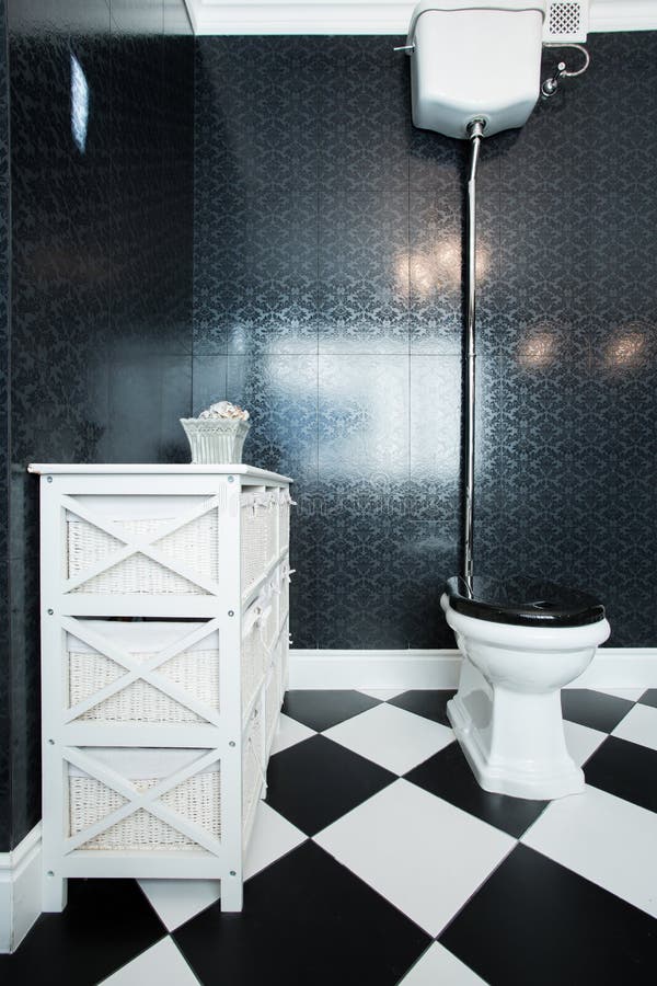 Black and white toilet stock image. Image of fashionable 46982065
