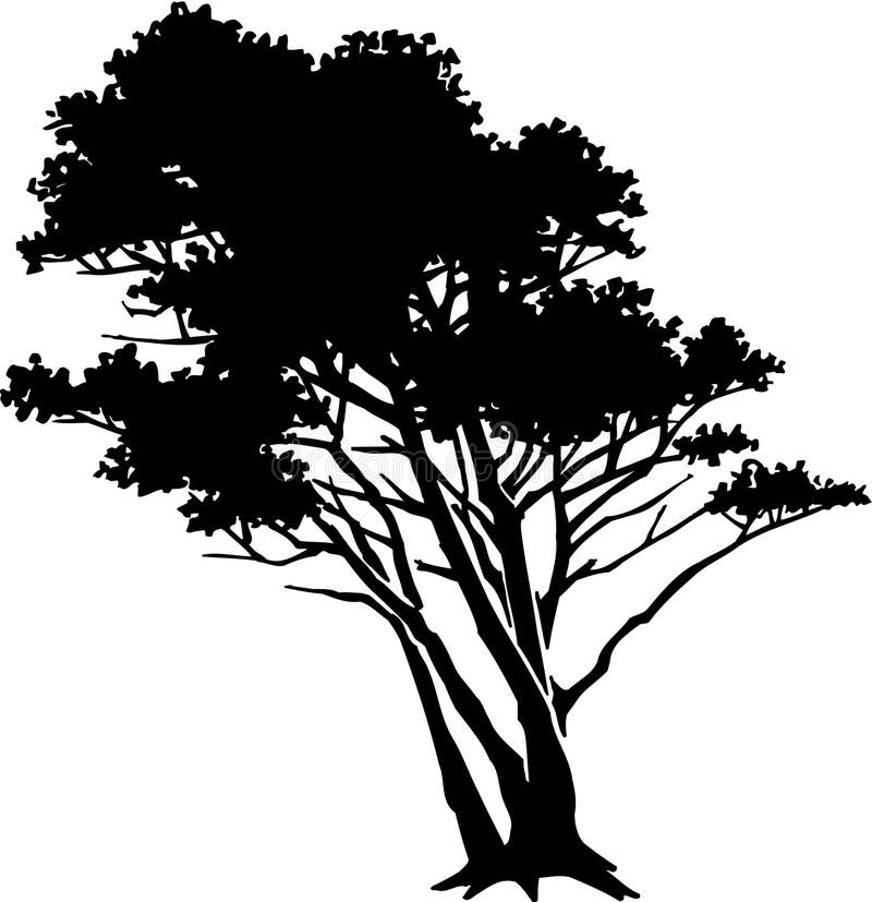 Black and White Tree Illustration Stock Vector Illustration of tree