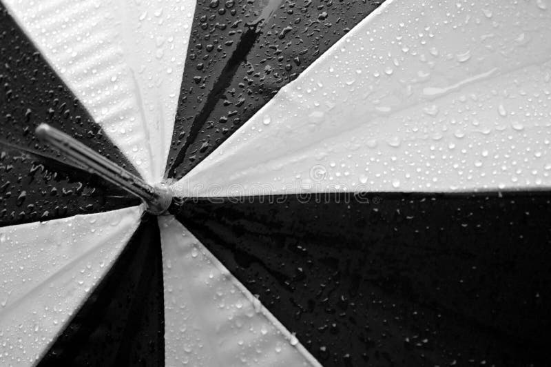 Black and White Umbrella stock photo. Image of downpours 510244