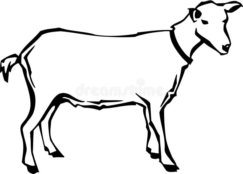 Black and White Goat Illustration Stock Vector Illustration of animal