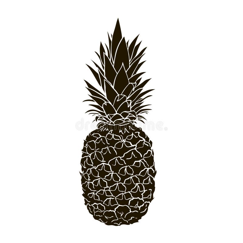 Pineapple black and white stock vector. Illustration of fruit 137228987