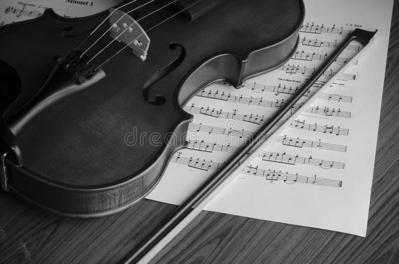 Black and white violin