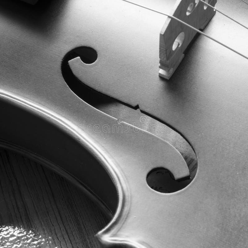 Black and white violin