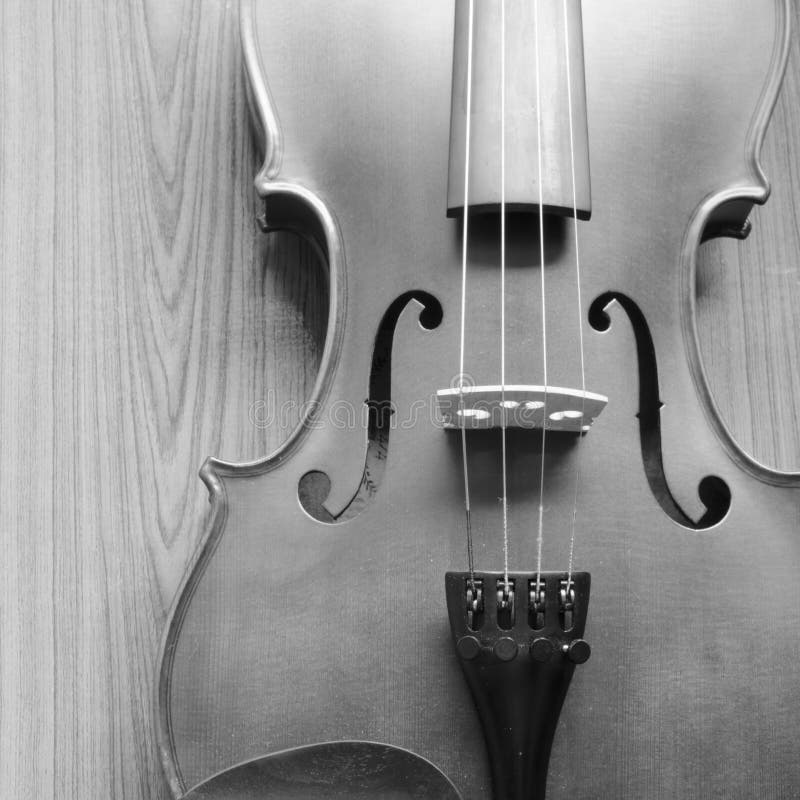 Black and white violin