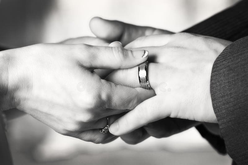 Wedding Ringsblack And White Stock Image Image of nuptial, couple