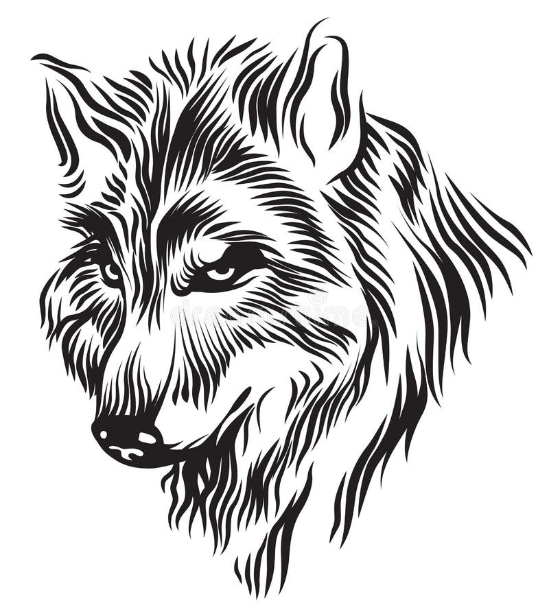 Black white wolf head stock vector. Illustration of wild 74046356