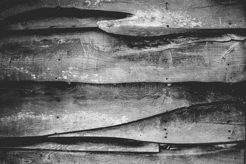 Black and white background texture of a wooden pine fence. Black and white background texture of a wooden pine fence