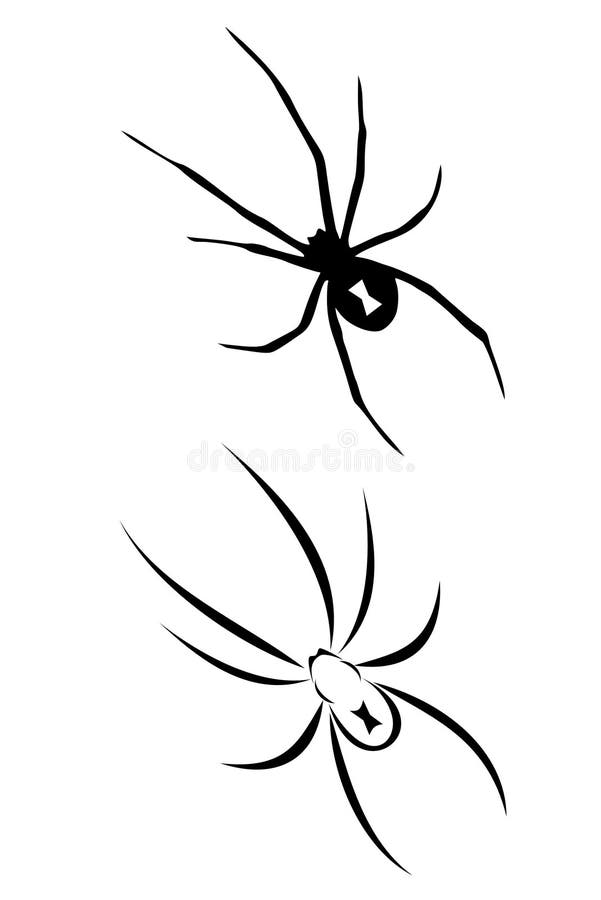 Spider Tribal Tattoo Stock Illustrations – 468 Spider Tribal Tattoo Stock Illustrations, Vectors & Clipart - Dreamstime Spider Tribal Tattoo Stock Illustrations – 468 Spider Tribal Tattoo Stock Illustrations, Vectors & Clipart - Dreamstime