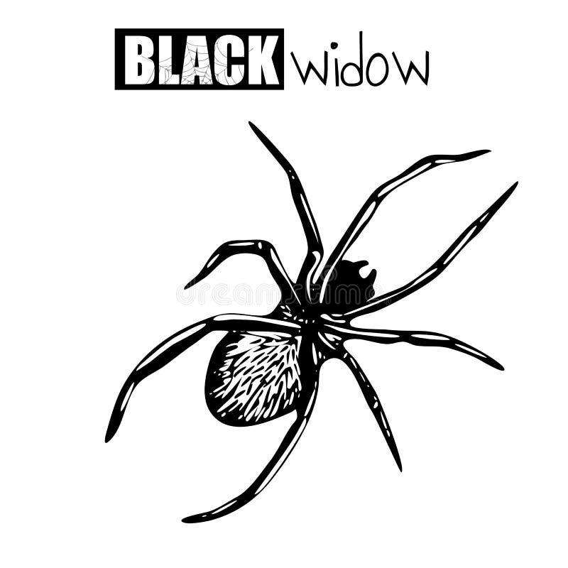 Black Widow - Castle Vulpine Art - Drawings & Illustration, Entertainment,  Movies, Action & Adventure - ArtPal