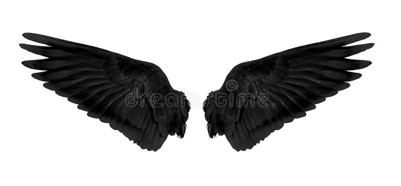 Black Swan Wings | Fallen Angel Wings