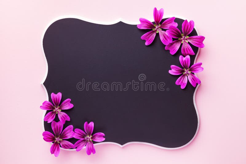 Frame Made with Pieces of Color Chalk on Blackboard. Space for Text Stock  Image - Image of pink, color: 181575497