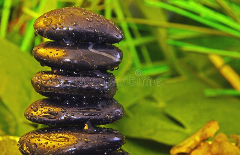 Black zen stones in jungle with water drops