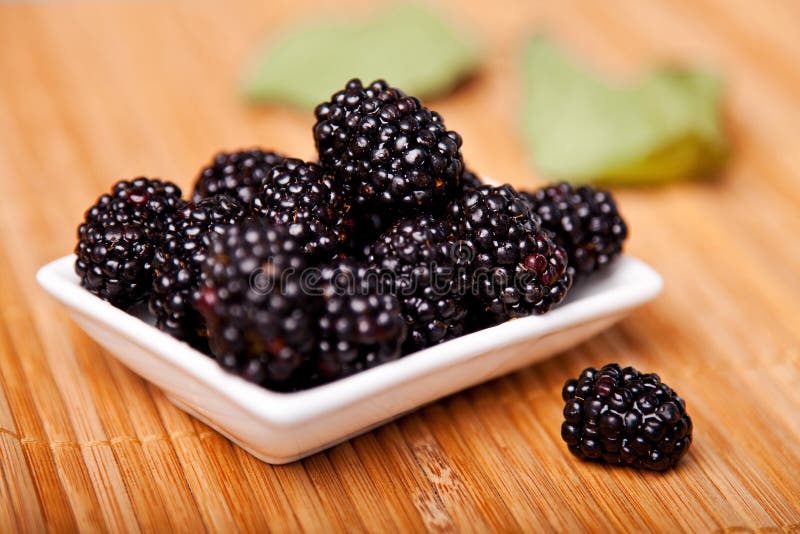 Blackberries stock photo. Image of green, objects, blackberry 242132