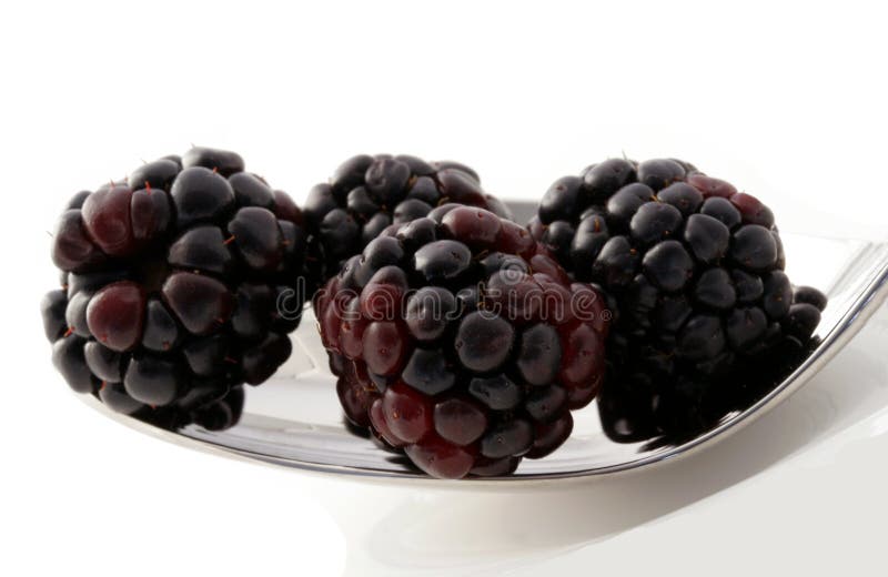 Blackberries