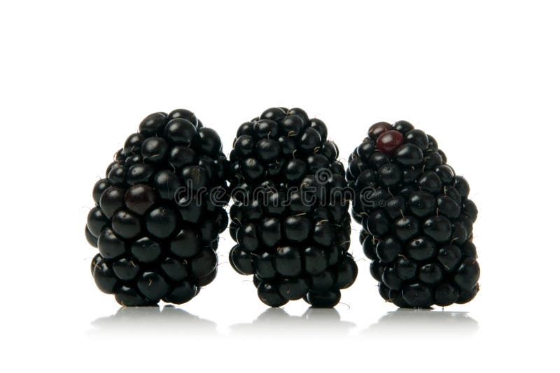 Blackberries