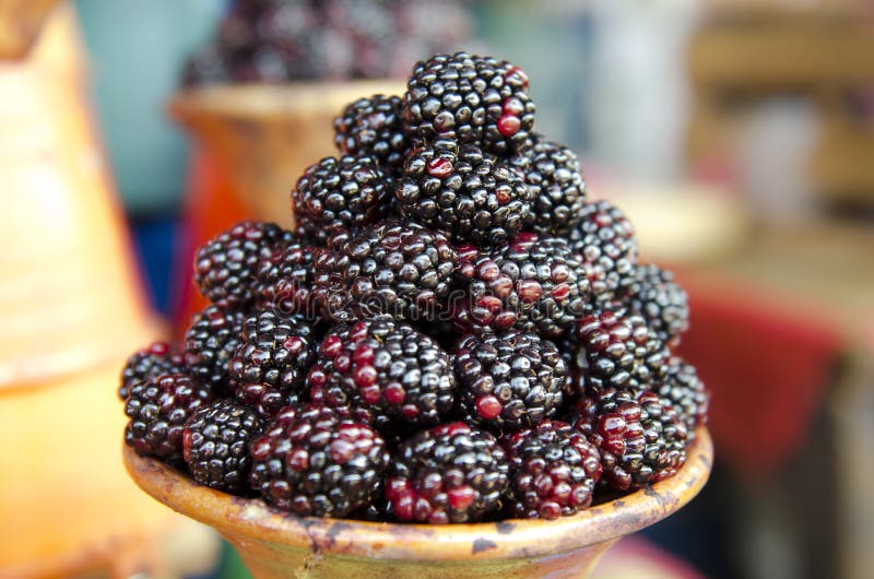 Blackberries stock photo. Image of basket, organic, mexico 28097036
