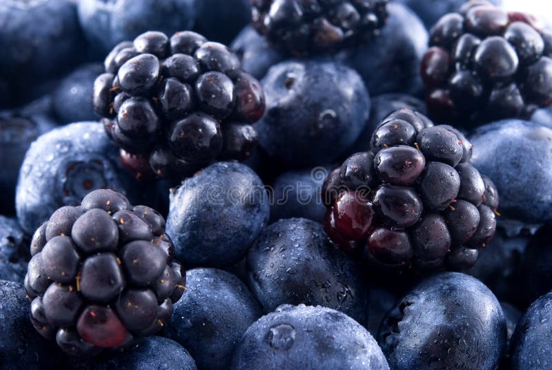 Blackberries and Blueberries in a Pile Stock Image Image of dietician