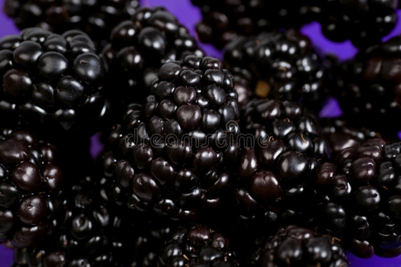 Blackberries macro