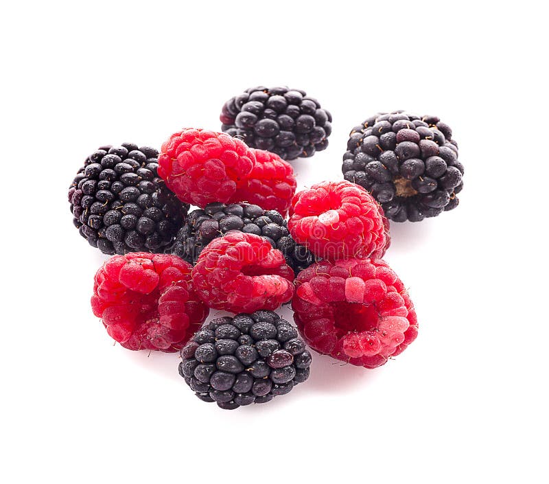 Blackberries with Raspberries an Isolated on White Background Stock