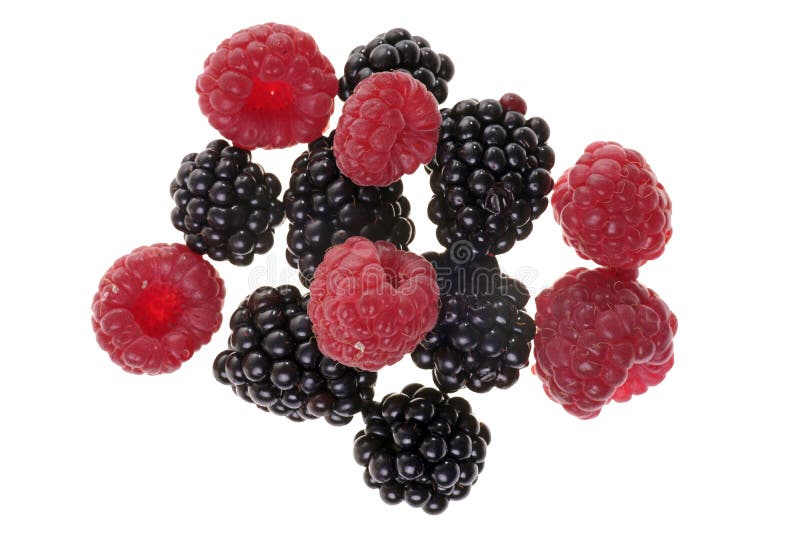 Blackberries and Raspberries Stock Image Image of fruit, fruity 35364485