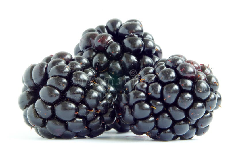 Blackberry