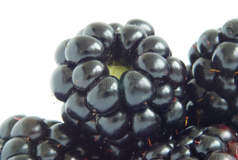 Blackberry