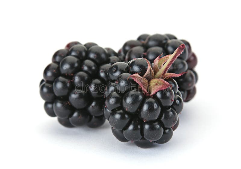 Blackberry berry