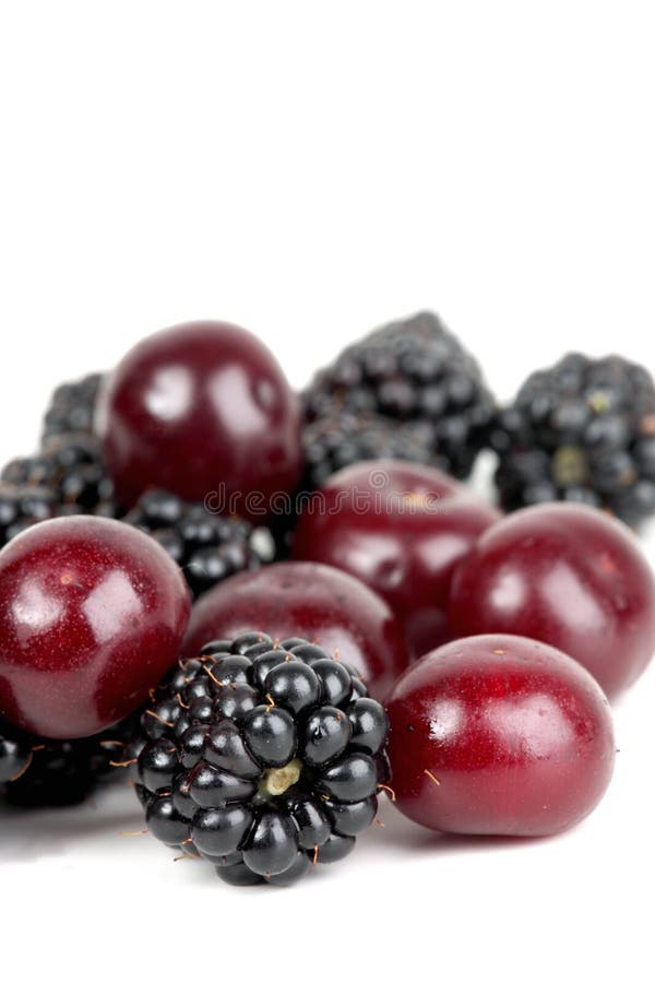 Blackberry stock image. Image of fruit, sweet, organic 26149311