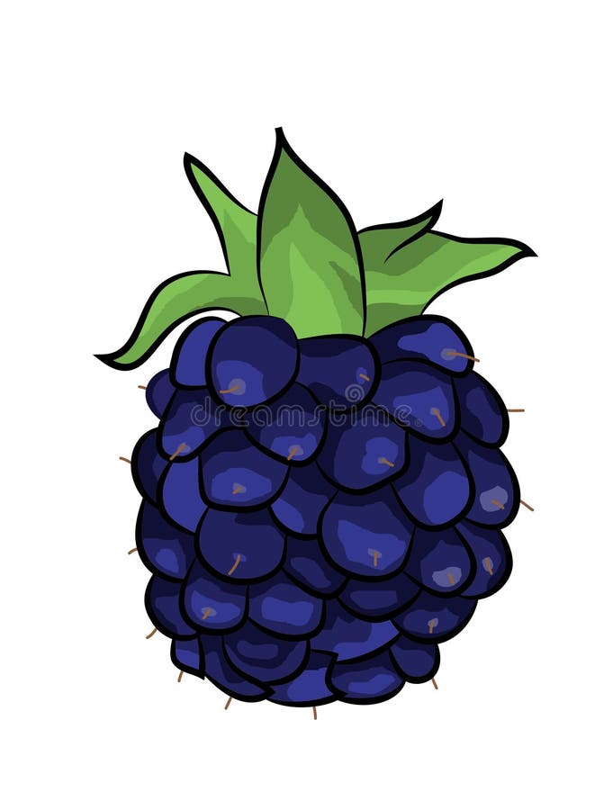 Blackberry-de illustratie van het fruitbeeldverhaal vector illustratie Blackberry-de illustratie van het fruitbeeldverhaal vector illustratie