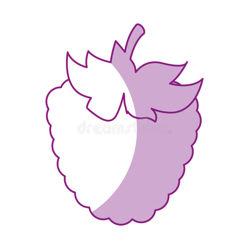 Blackberry Fruit Kawaii Character Stock Vector Illustration of nature