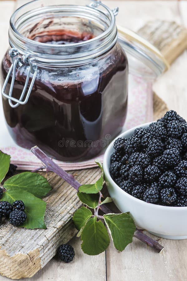 Spring Seedling Sprout Garden Blackberry Stock Image Image of concept
