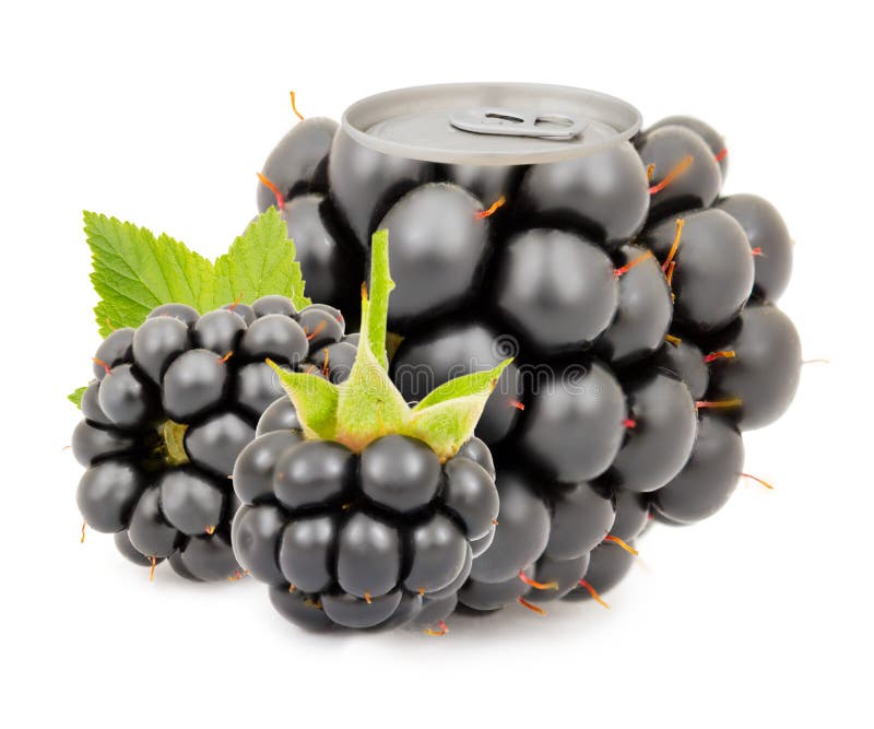 20,203 Blackberry Juice Stock Photos Free & RoyaltyFree Stock Photos